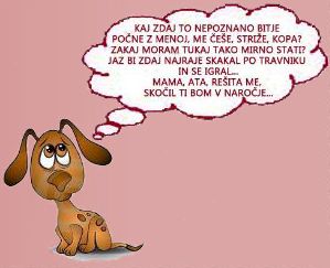 kuza_govori.jpg
